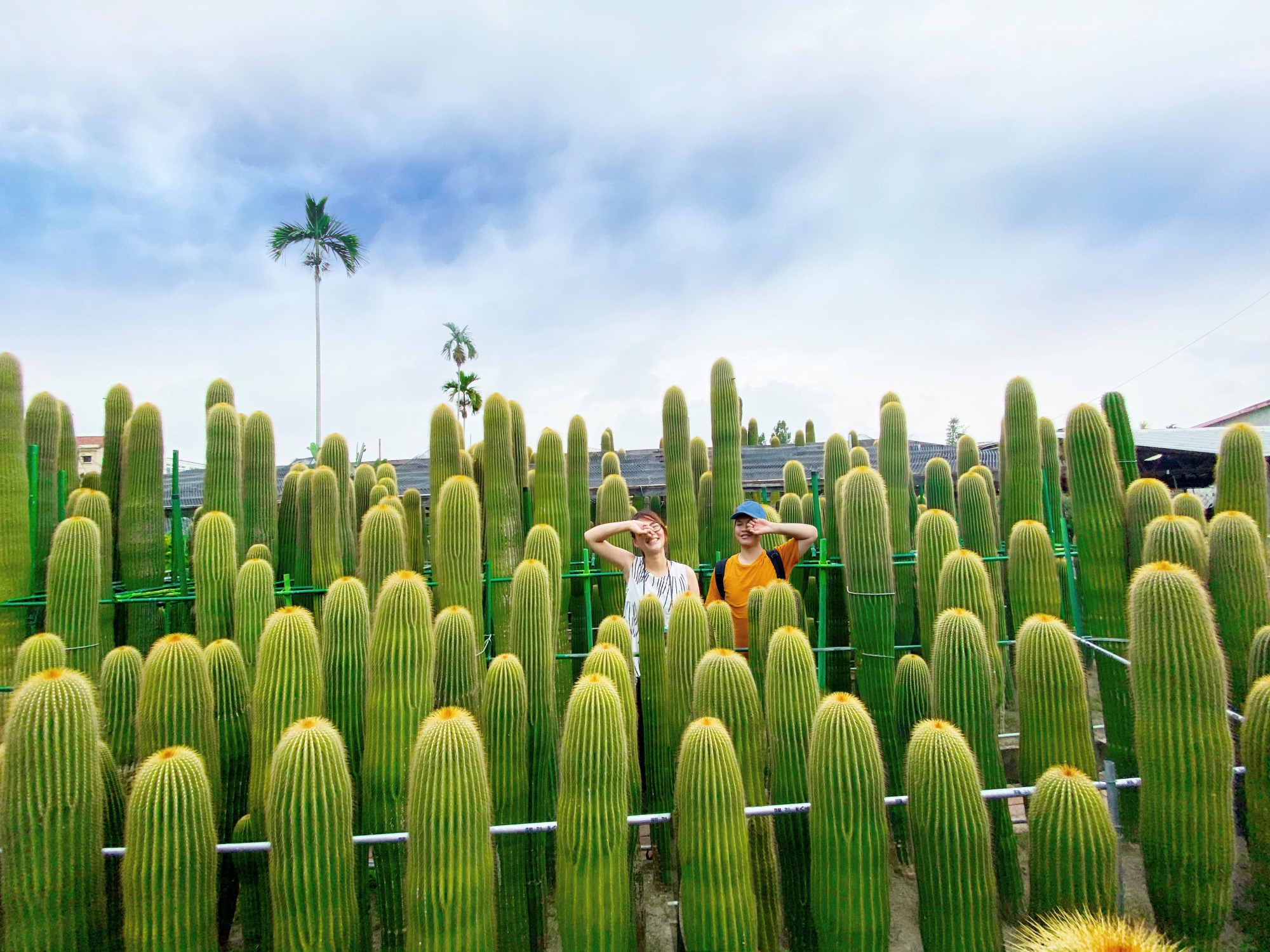  Tianwei Highway Garden