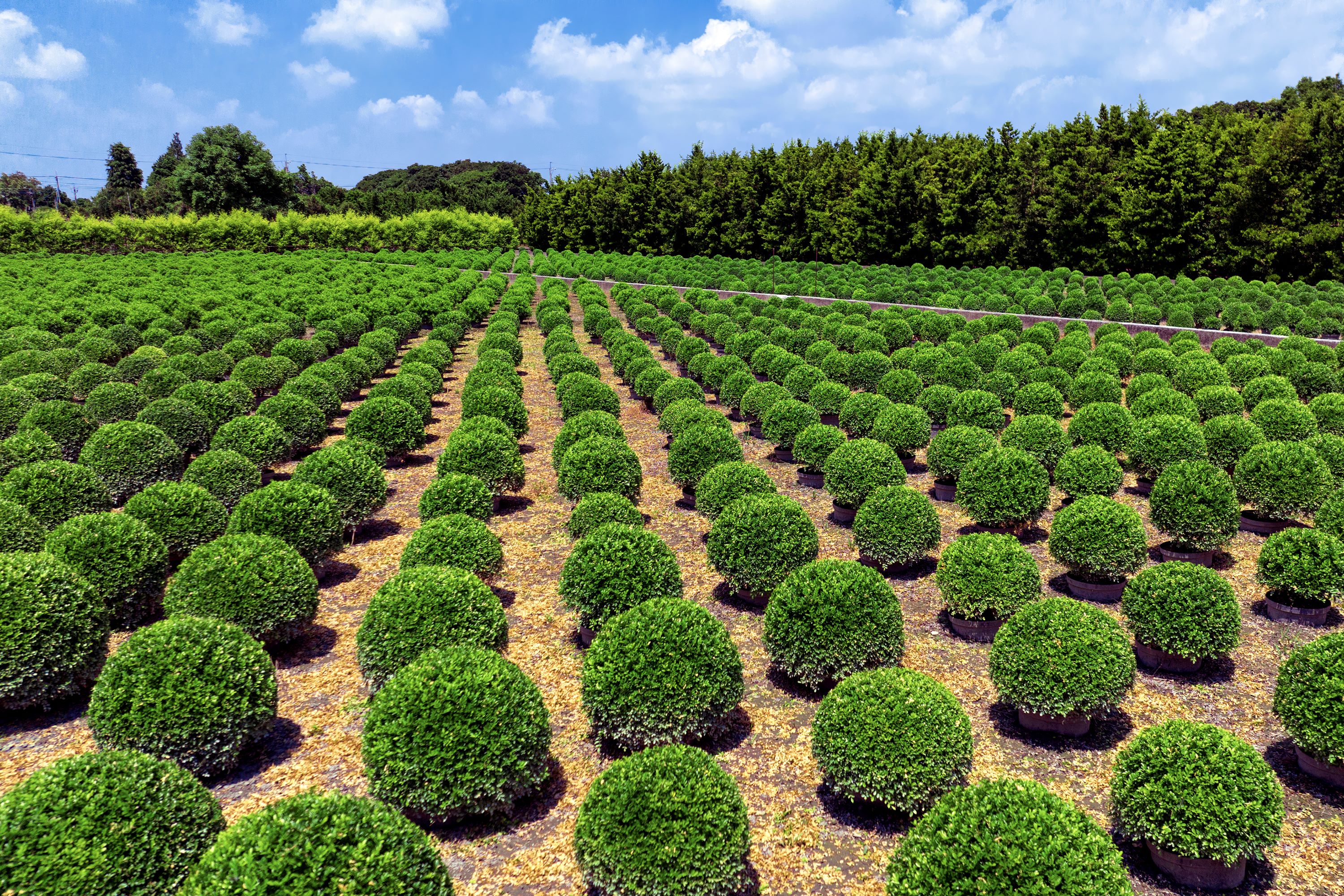  Tianwei Highway Garden