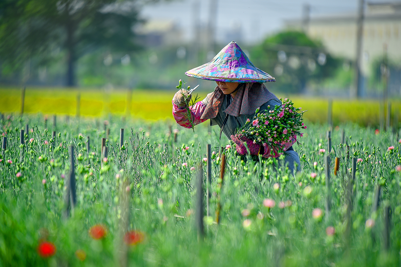  Tianwei Highway Garden