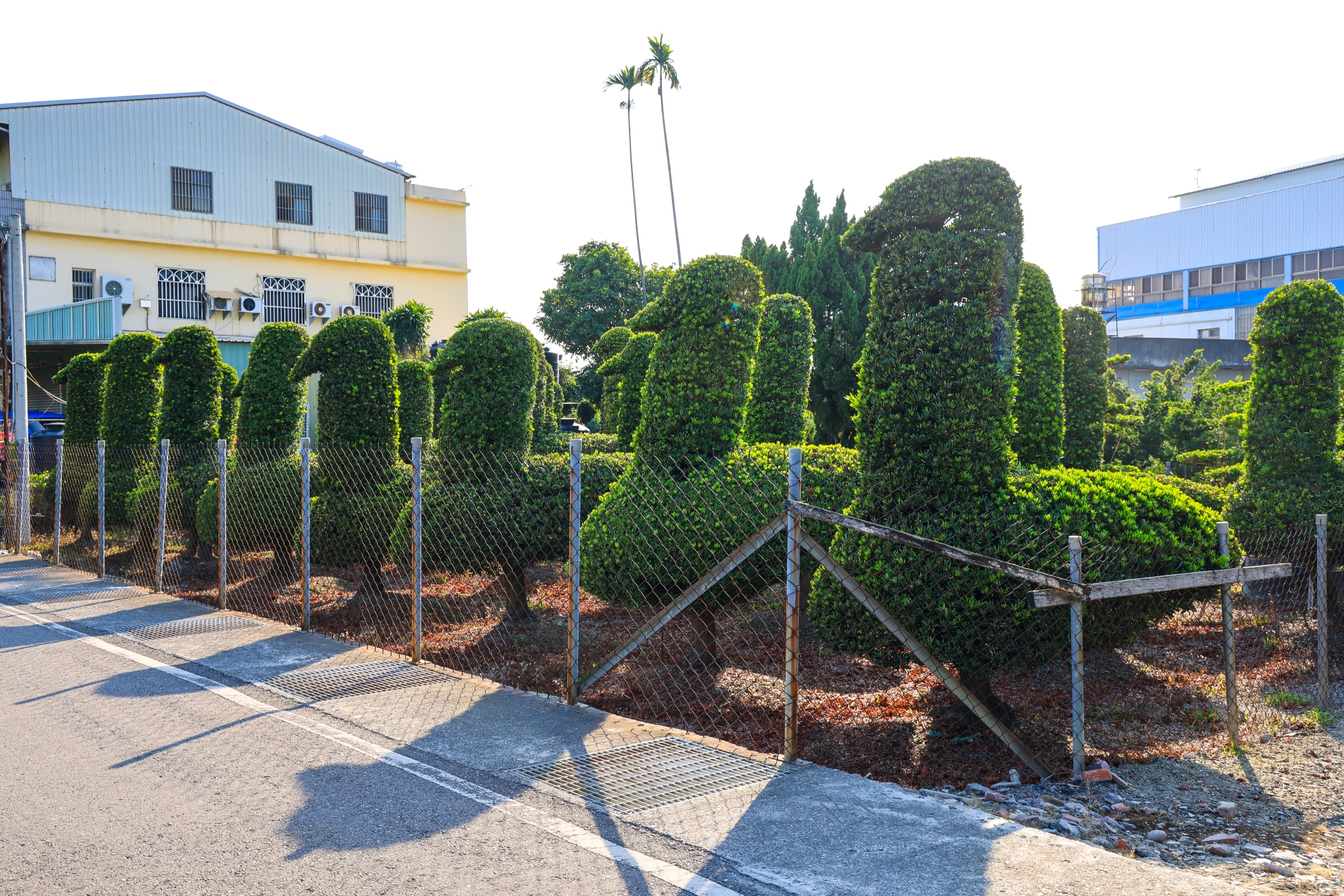  Tianwei Highway Garden