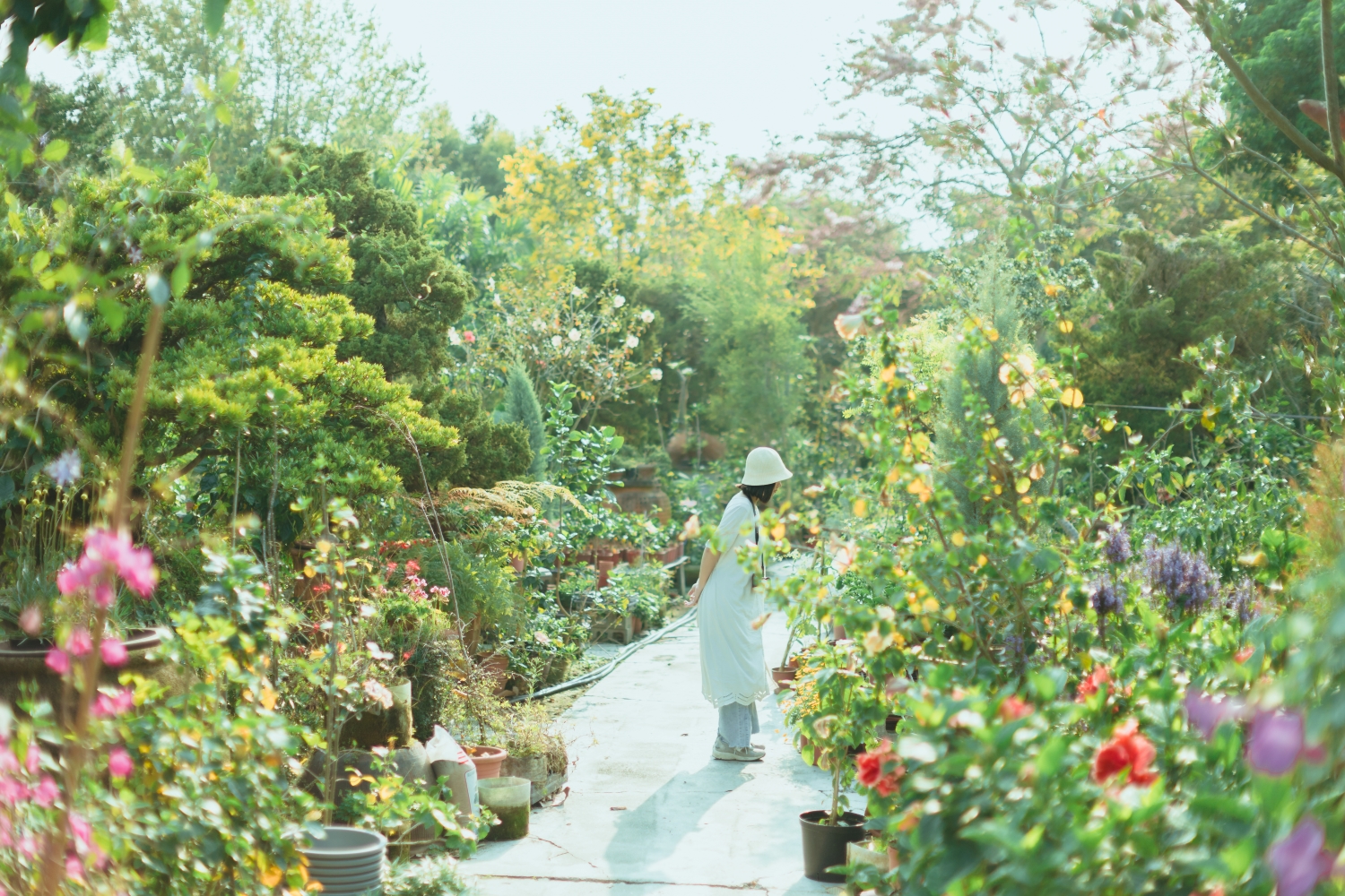  Tianwei Highway Garden