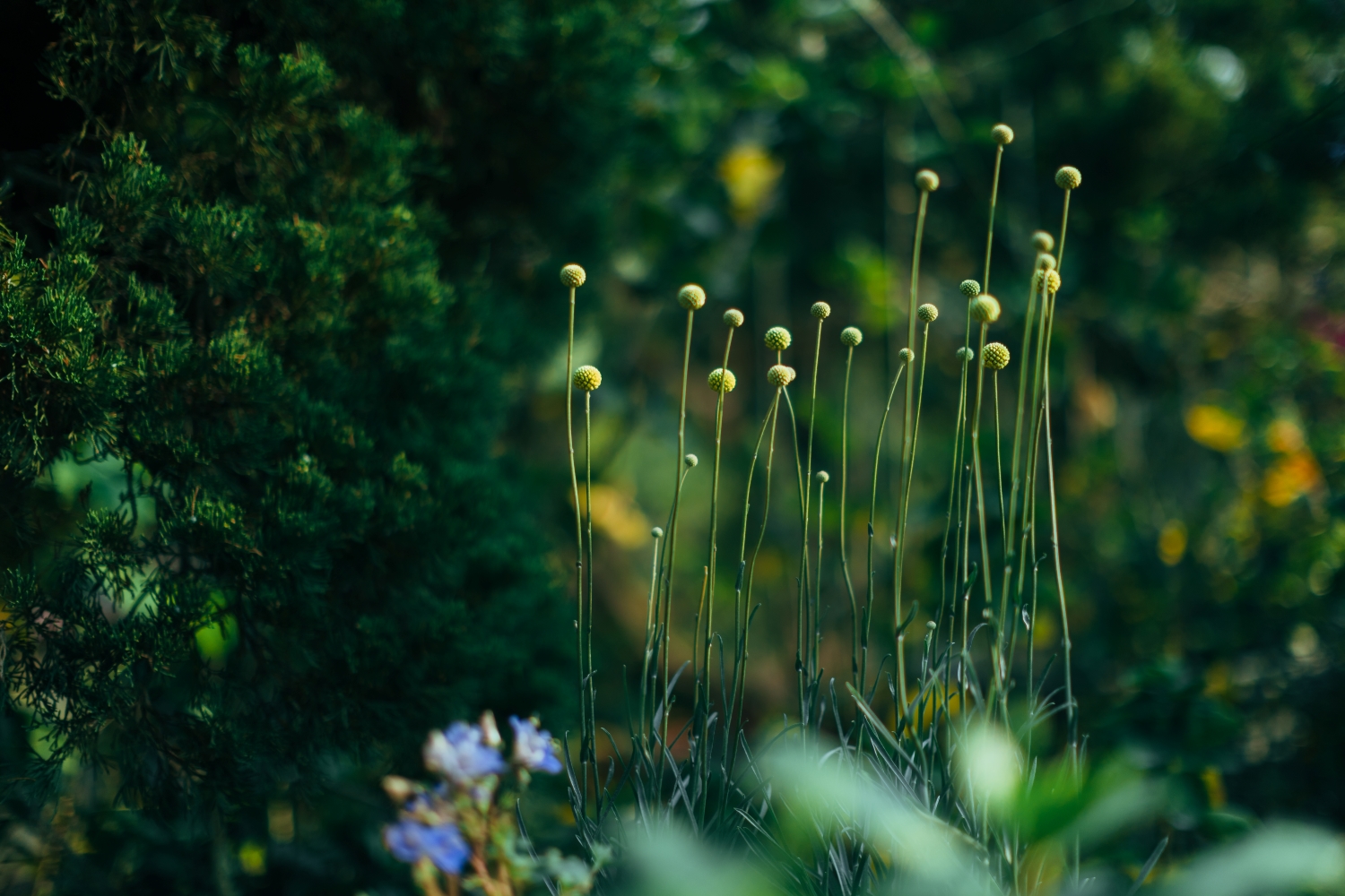  Tianwei Highway Garden