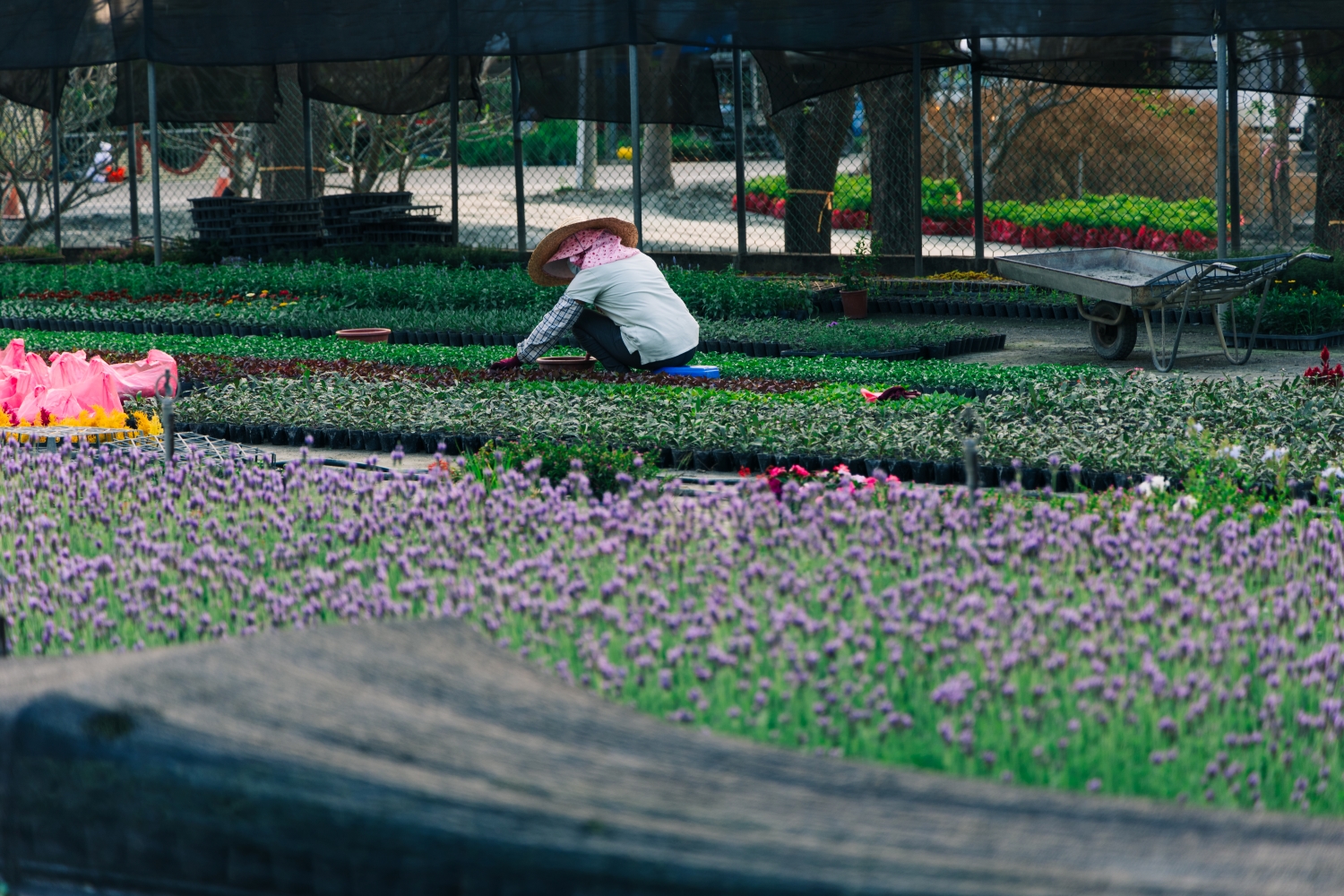 Tianwei Highway Garden