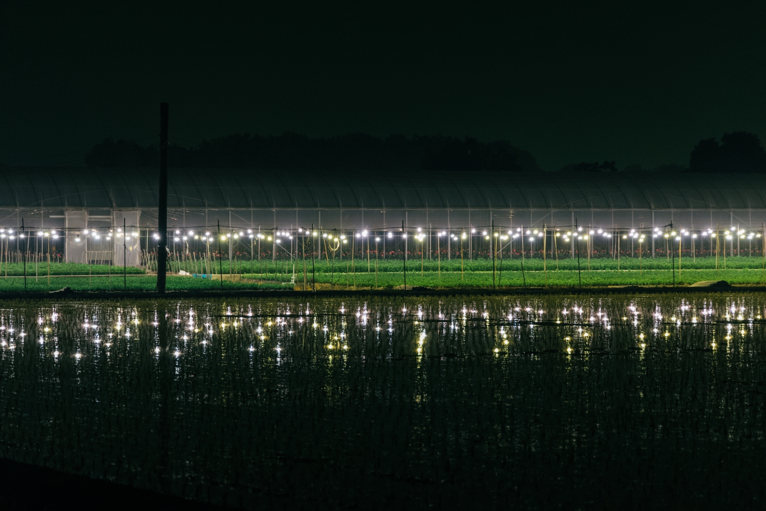 Tianwei Highway Garden