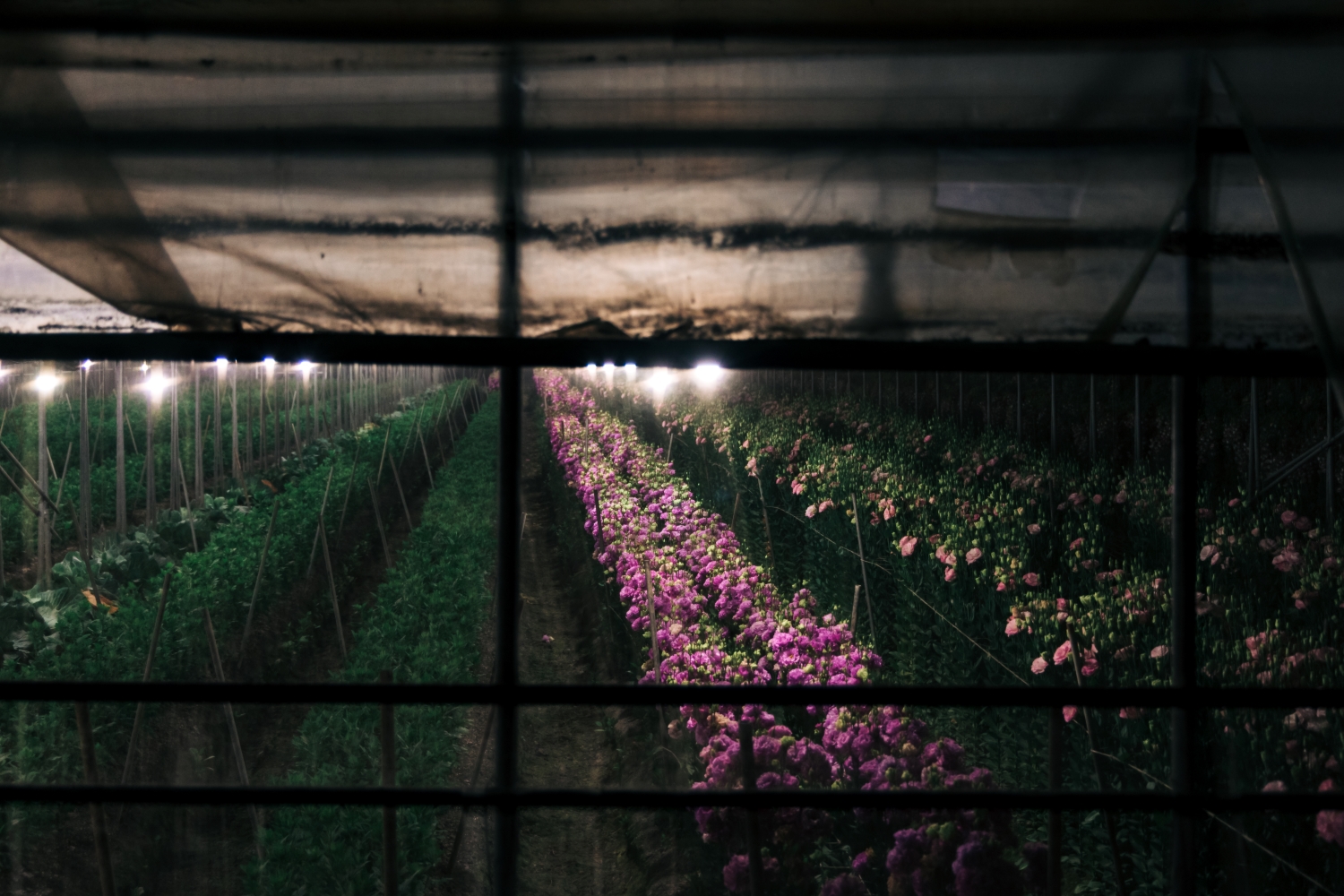 Tianwei Highway Garden