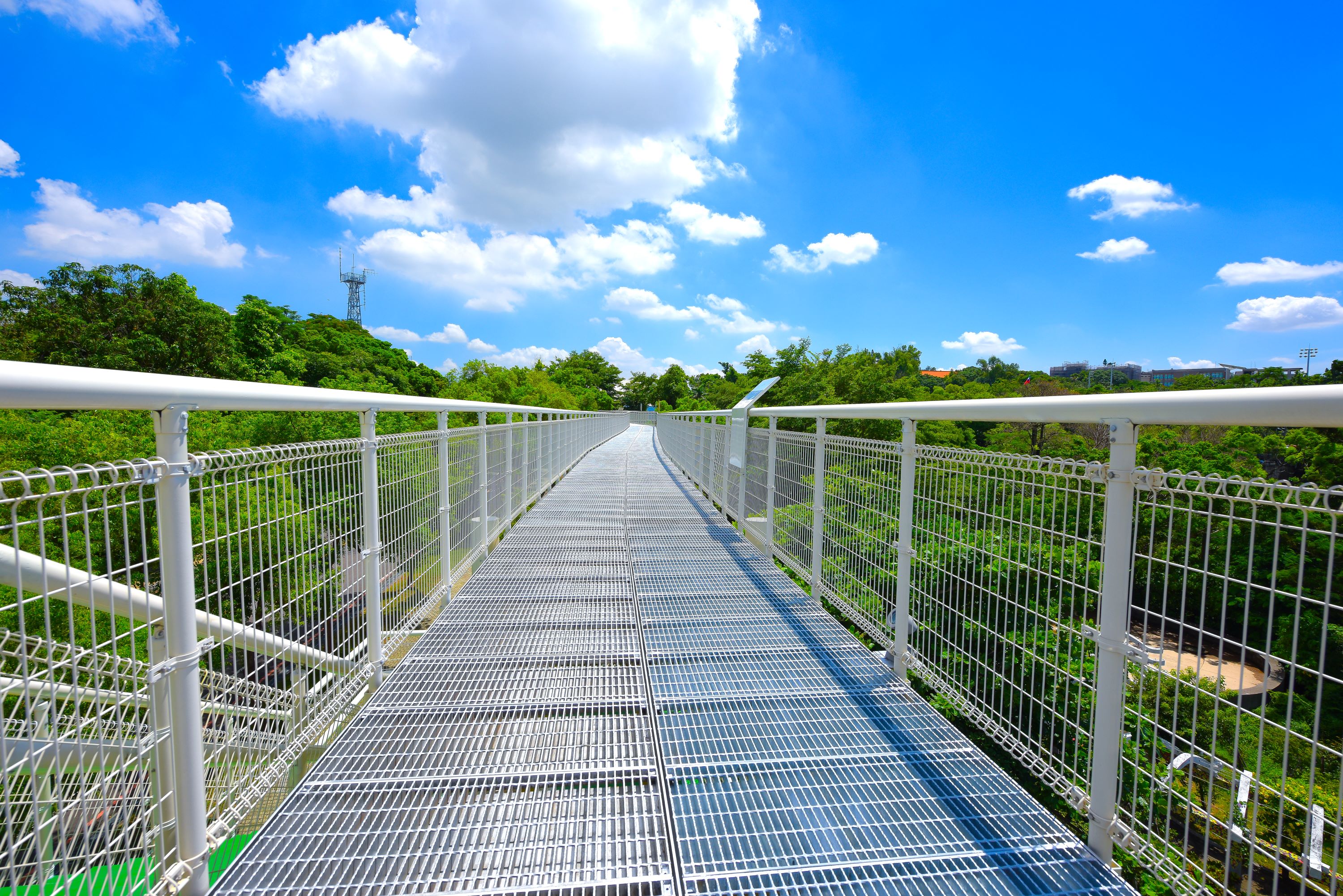 Bagua Mountain Skywalk