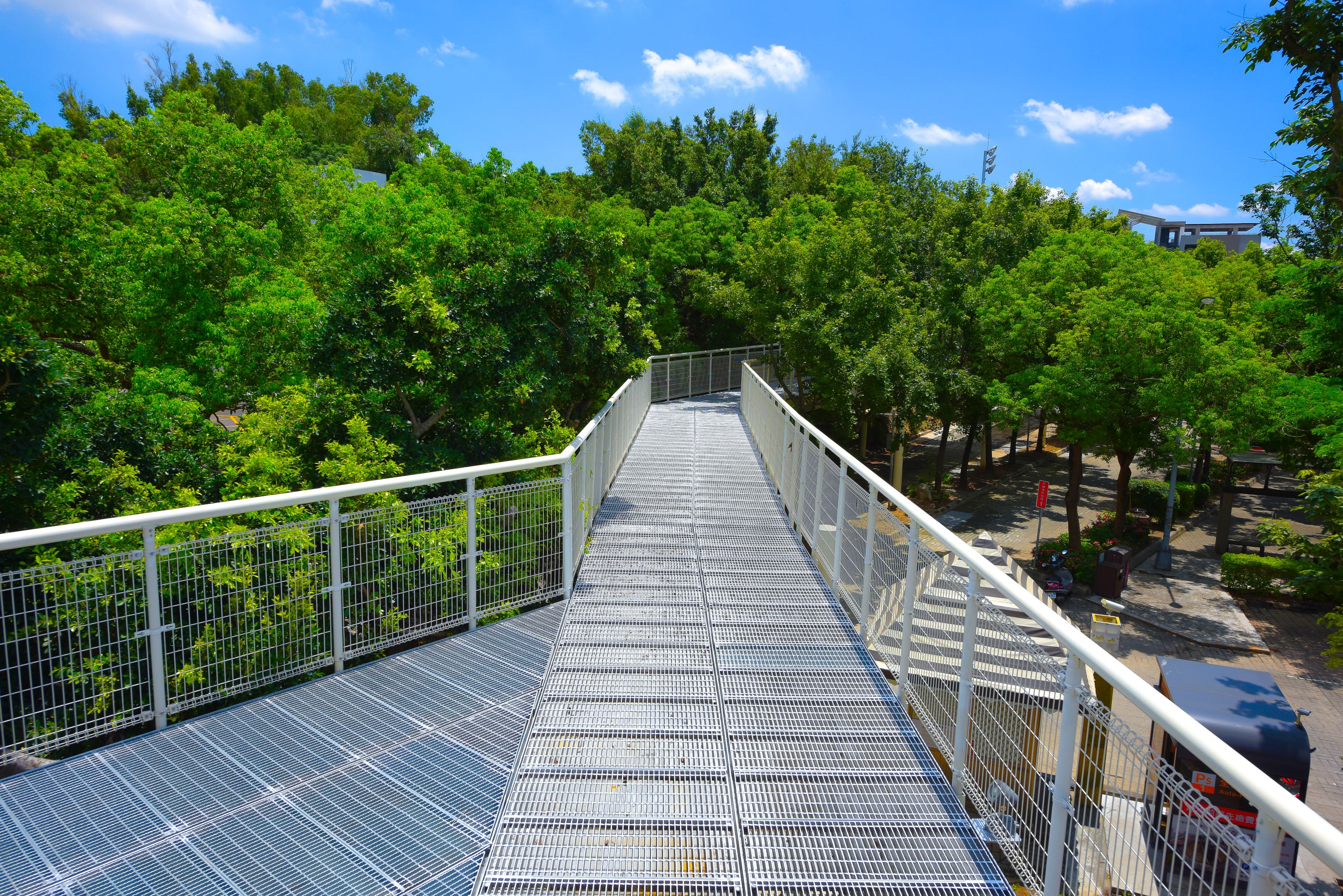 Bagua Mountain Skywalk