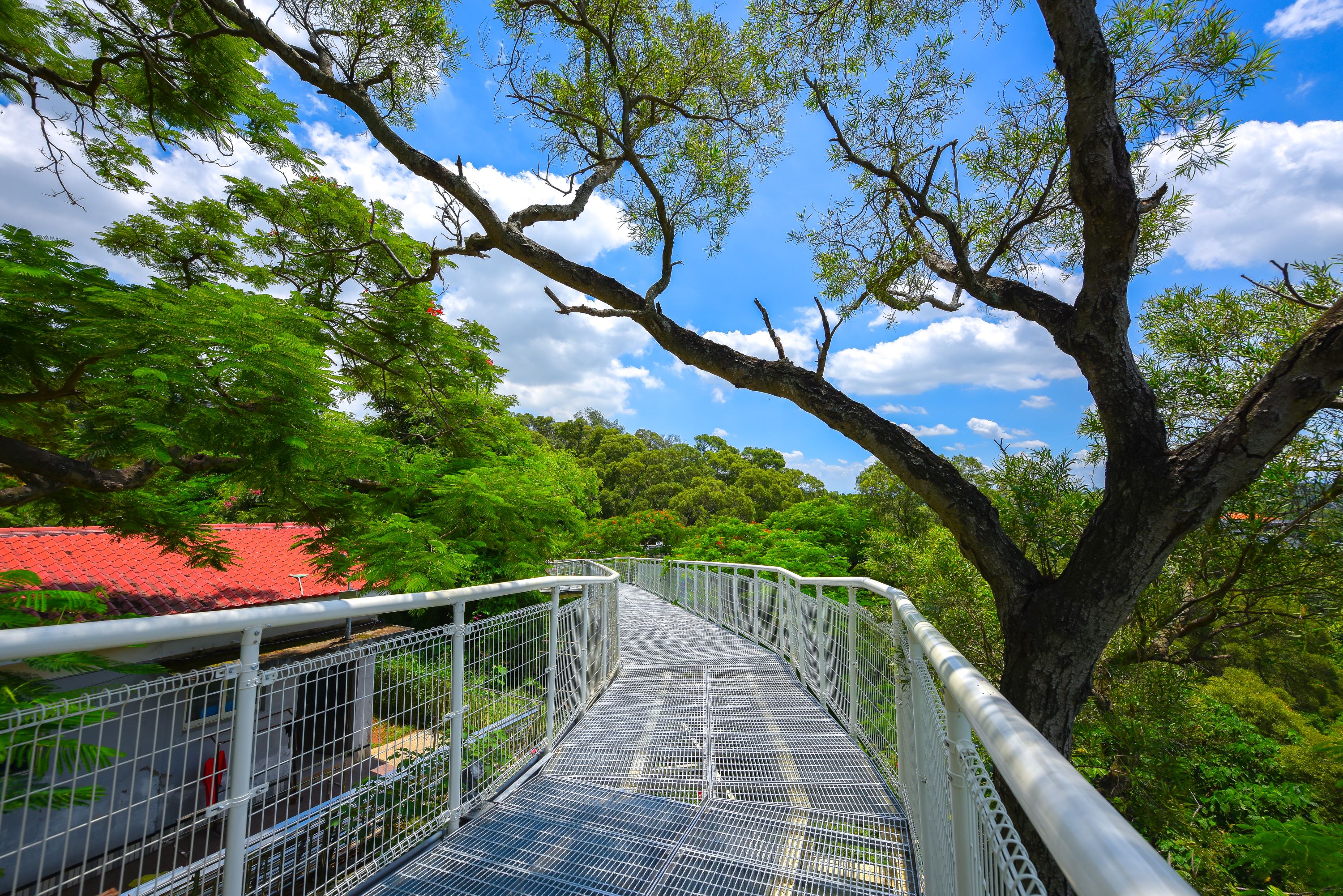 Bagua Mountain Skywalk