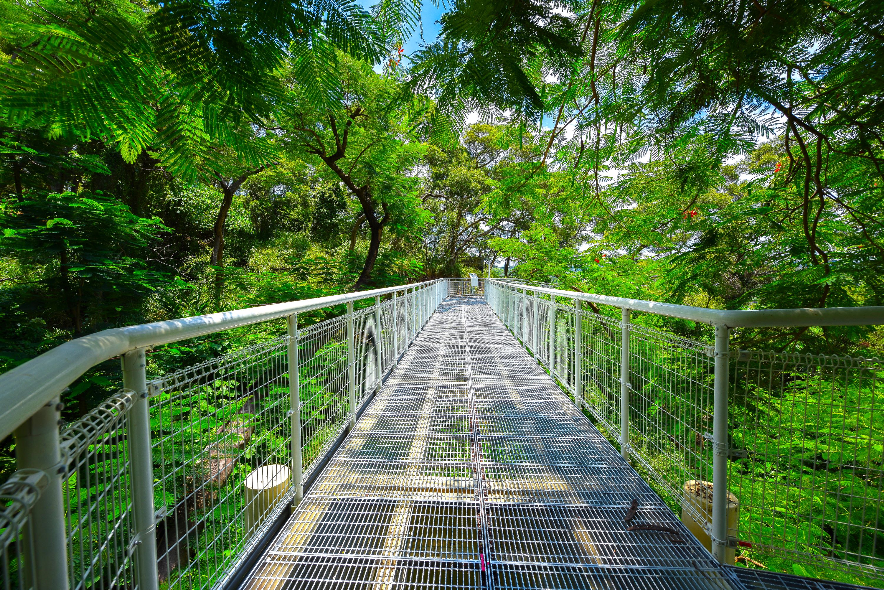 Bagua Mountain Skywalk