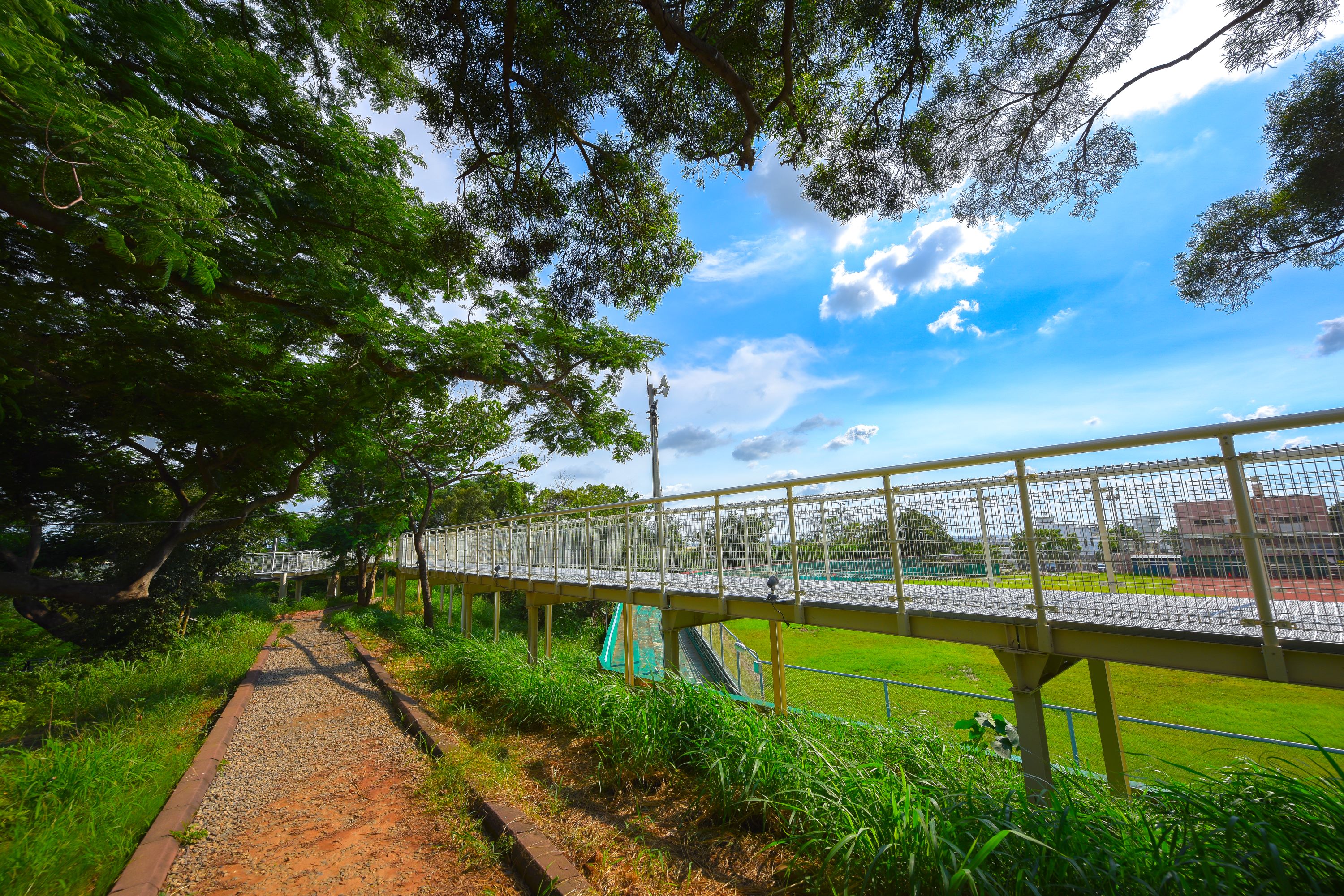 Bagua Mountain Skywalk