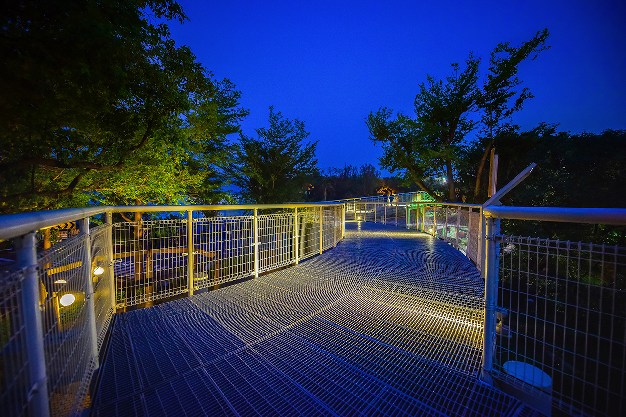 Bagua Mountain Skywalk