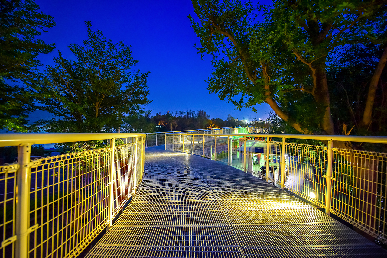 Bagua Mountain Skywalk