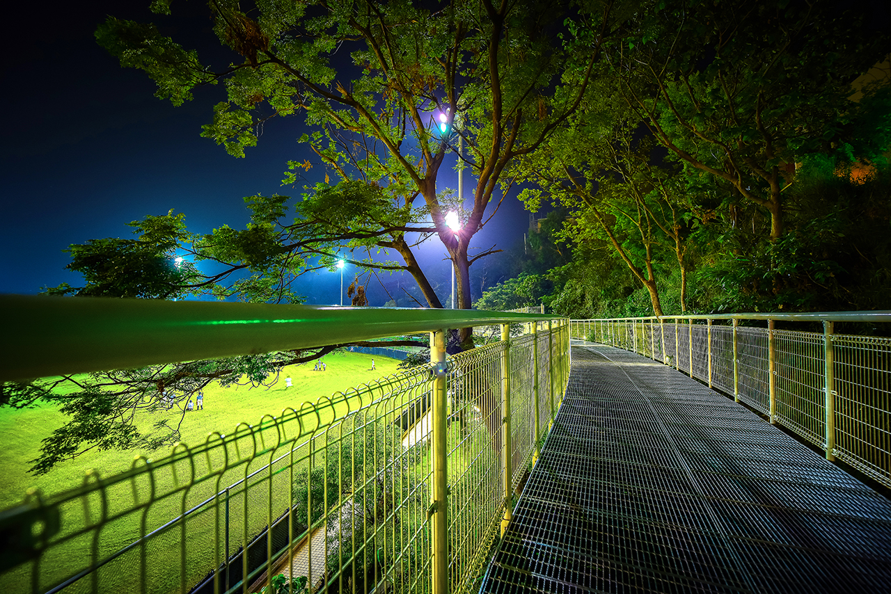 Bagua Mountain Skywalk