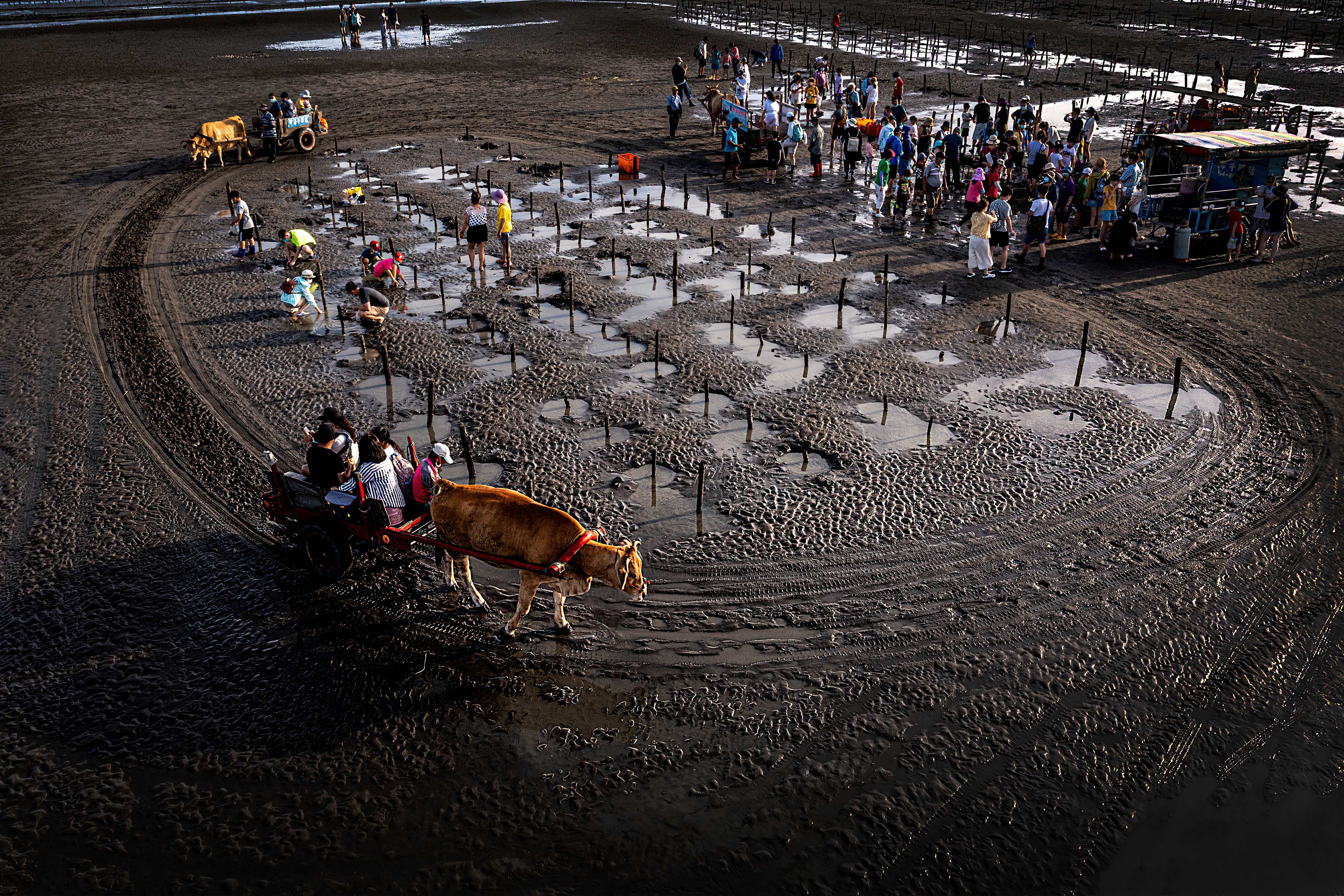 蘇連吉/拍攝 蘇連吉/拍攝