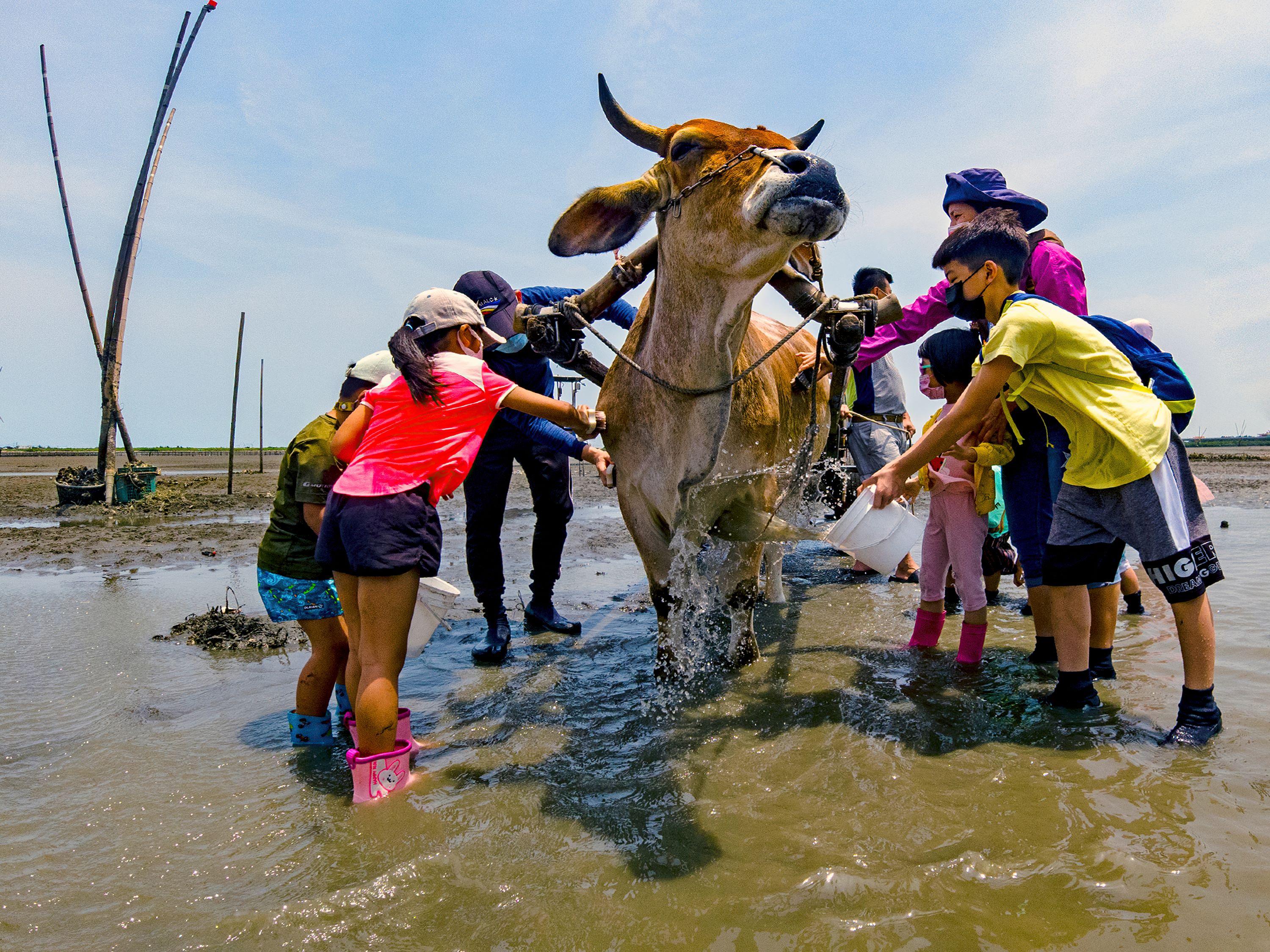 李佩珍/拍攝 李佩珍/拍攝
