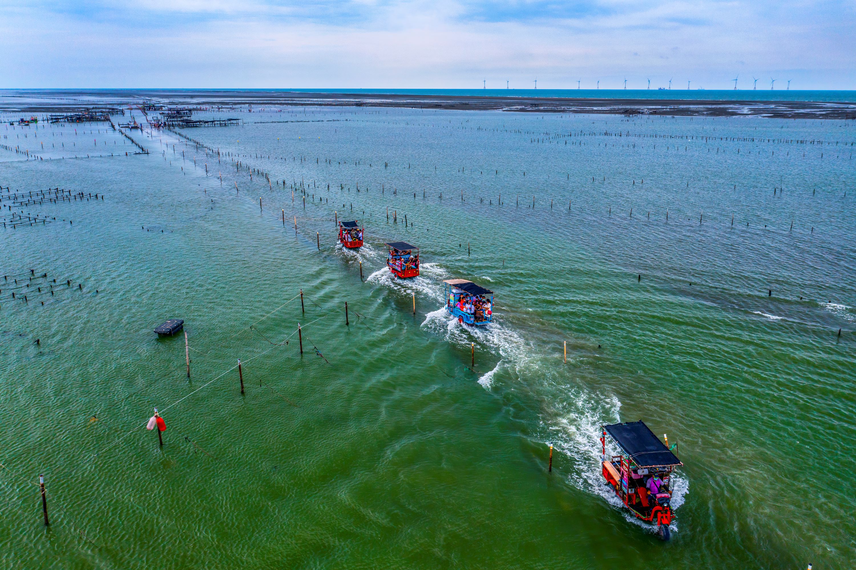 陳啟迪/拍攝 陳啟迪/拍攝