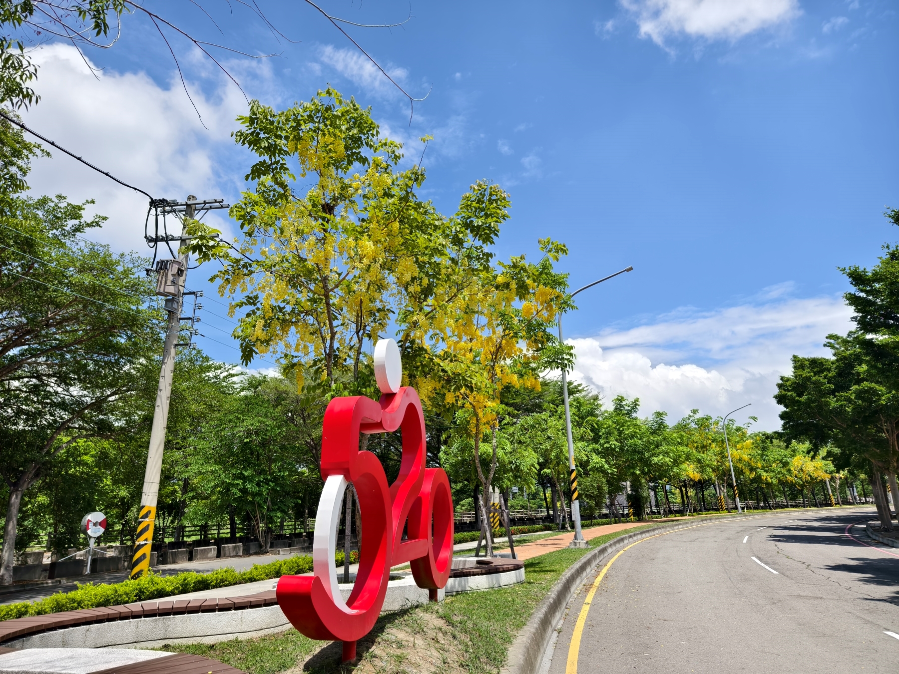 Golden Shower Tree Lined Path