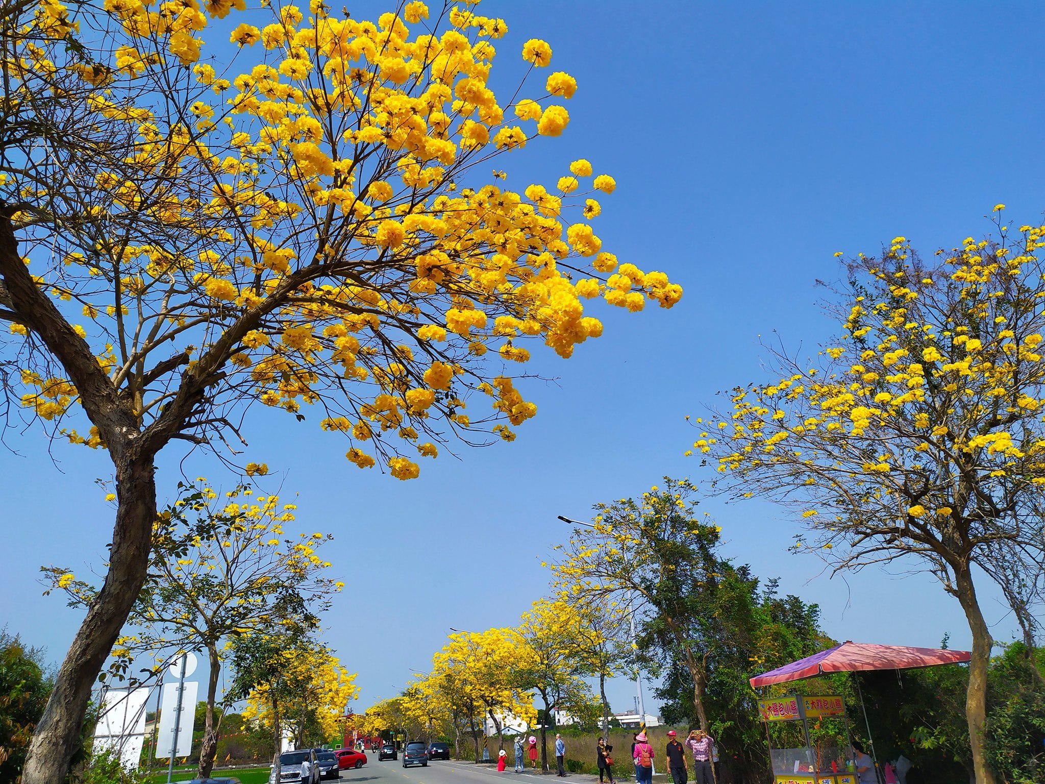 Changhua Qizhou Golden Highway